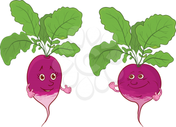 Cartoon vegetables, two character radish isolated on white background. Vector illustration