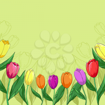 Flower vector background, tulips flowers and contour on a green