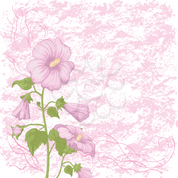 Holiday background with pink flower mallow and abstract pattern. Vector