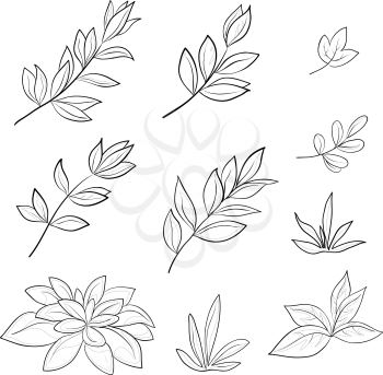 Leaves of various plants, set black contours isolated on white background. Vector
