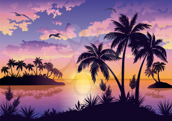 Tropical sea landscape, black silhouettes islands with palm trees and flowers, clouds, sky with clouds, sun and birds gulls. Eps10, contains transparencies. Vector