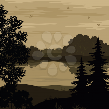 Evening landscape, trees, river and birds silhouette. Vector