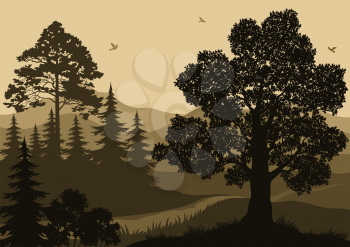 Evening Forest Landscape, Trees, Mountain and Birds Silhouettes. Vector