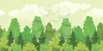 Seamless background, green summer forest with fir and birch trees and cloudy sky. Vector