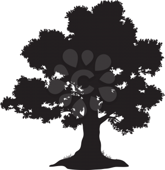Oak tree with leaves and grass, black silhouette on white background. Vector