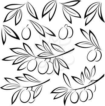 Set Olive Branches, Berries and Leaves Monochrome Black Pictograms Isolated on White Background. Vector