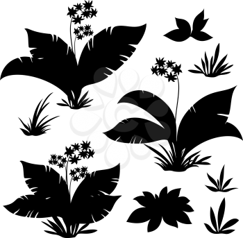 Set Exotic Plants, Flowers and Grass Black Silhouettes Isolated on White Background. Vector