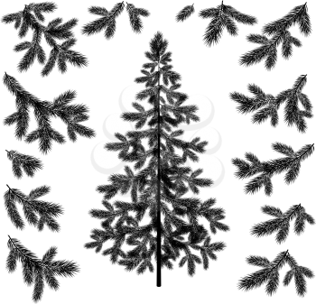 Christmas fir tree and branches black silhouettes set isolated on white background. Vector