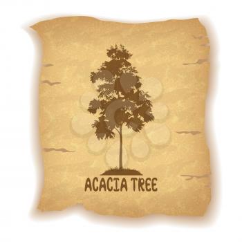 Acacia Tree Silhouette and the Inscription on the Vintage Background of an Old Sheet of Paper. Eps10, Contains Transparencies. Vector