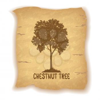 Chestnut Tree Pictogram Silhouette and the Inscription on the Vintage Background of an Old Sheet of Paper. Eps10, Contains Transparencies. Vector
