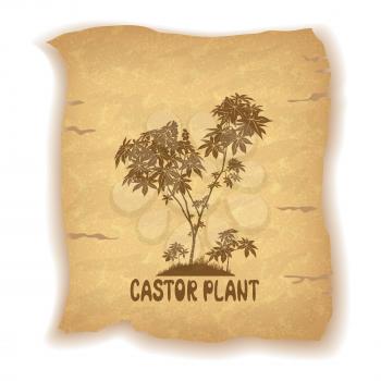 Castor Plant Silhouette and the Inscription on the Vintage Background of an Old Sheet of Paper. Eps10, Contains Transparencies. Vector