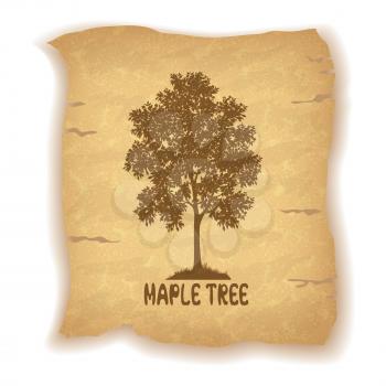 Maple Tree Silhouette and the Inscription on the Vintage Background of an Old Sheet of Paper. Eps10, Contains Transparencies. Vector