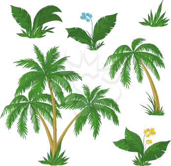 Palm trees, flowers and green grass on white background. Vector