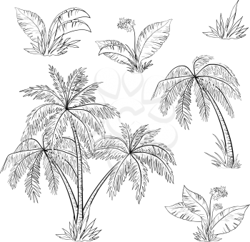 Palm trees, flowers and grass, monochrome contours on white background. Vector