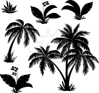 Tropical Plants, Palm Trees, Exotic Flowers and Grass Black Silhouettes Isolated on White Background. Vector