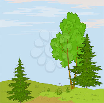 Summer Landscape, Trees, Flowers and Blue Sky With White Clouds Vector