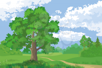 Landscape, Summer Green Forest, Oak Tree and Blue Cloudy Sky. Vector