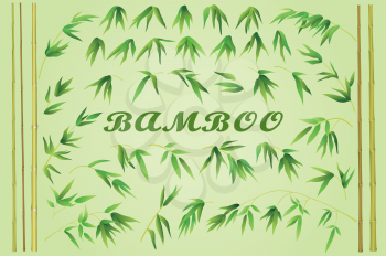 Bamboo Stems with Green Leaves on a Yellow Background. Vector