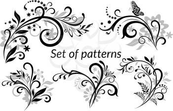 Set of Vintage Calligraphic Elements, Floral Patterns and Butterfly, Black and grey Silhouettes Isolated on White Background. Vector