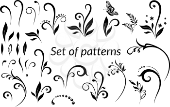 Set of Vintage Calligraphic Elements, Floral Patterns and Butterfly, Black Silhouettes Isolated on White Background. Vector