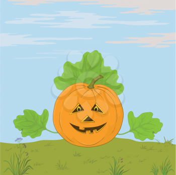 Vector, symbol of a holiday of Halloween, a pumpkin Jack O Lantern with hands - the leaves against the blue sky