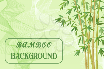 Bamboo Stems with Green Leaves on Background with Abstract Pattern. Vector