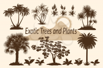 Exotic Plants, Tropical Palm Trees, Flowers and Mountain Landscape with the Rising Sun Silhouettes. Vector