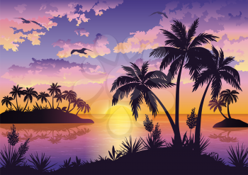 Tropical sea landscape, black silhouettes islands with palm trees and flowers, clouds, sky with clouds, sun and birds gulls. Eps10, contains transparencies. Vector