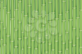 Exotic Horizontal Seamless Pattern, Tropical Bamboo Plants Green Trunks. Vector