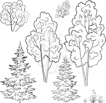 Plants, trees and flowers, monochrome contours on a white background. Vector