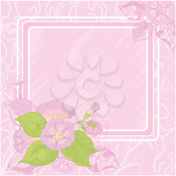 Foral background with frame and flowers Ipomoea. Vector