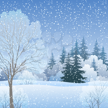 Winter Christmas Holiday Woodland Landscape, Forest with Fir and Deciduous Trees and Snow. Eps10, Contains Transparencies. Vector