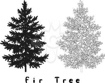 Christmas Spruce Fir Tree Black Silhouette, Contours and Inscriptions Isolated on White Background. Vector