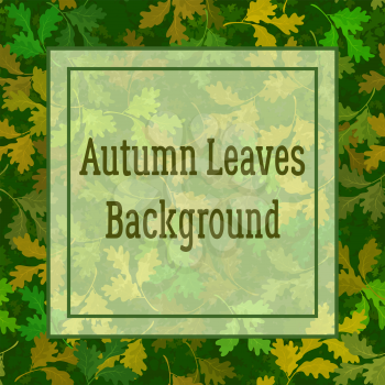Floral Background, Summer and Autumn Oak Leaves and Square Frame for Your Text. Vector