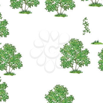 Seamless Pattern, Green Lilac Bush Isolated on Tile White Background. Vector