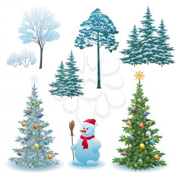 Christmas Holiday Set, Fir Trees with Festive Decorations, Winter Green and White Trees and Bushes with Snow, Cartoon Snowman in a Red Santa Claus Hat. Vector
