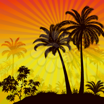 Labels with Tropical Landscape, Palms Trees and Exotic Plants Black Silhouettes on Background with Morning Sea, Mountains and Sky with Stars and Sunrays. Vector