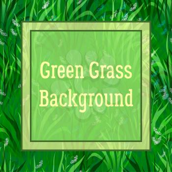 Floral Background, Landscape, Summer or Spring Meadow, Green Grass, White and Blue Flowers and Frame for Your Text. Vector