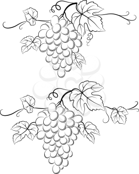 Bunch of Grapes with Leaves and Berries Black Contour Pictograms Isolated on White Background. Vecto