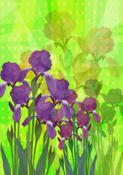 Flowers Iris on Abstract Background for Holiday Design. Vector