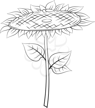 Cartoon Sunflower with Leaves Black Contours Isolated on White Background. Vector