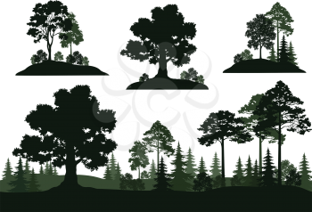 Set Isolated on White Background Landscapes, Trees and Bushes. Vector