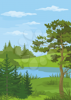 Landscape with Pine, Fir Trees and Green Grass on the Shore of a River Lake under a Blue Cloudy Sky. Vector