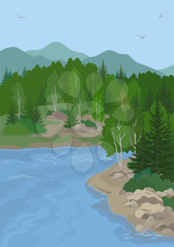 Landscape with Birch and Fir Trees on the Shore of a Mountain Lake under a Blue Sky with Birds. Vector