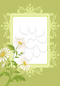 Floral holiday background with chamomile flowers and a blank white rectangle. Vector