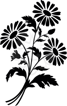 Bouquet of chamomile flowers, black silhouettes on white background. Vector illustration