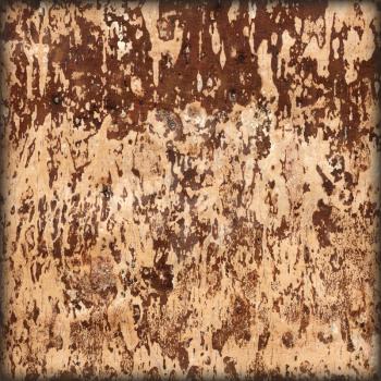 Natural Abstract Background, Texture of Underside Fallow Birch Bark