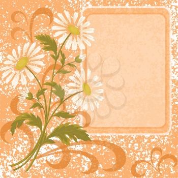 Floral holiday background with chamomile flowers and frame. Vector eps10, contains transparencies