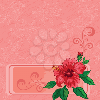 Floral background for holiday design, hibiscus flowers, leaves and contours and abstract pattern. Vector