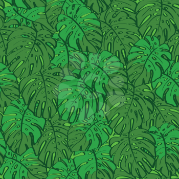 Seamless background, pattern of green monstera plant leaves. Vector